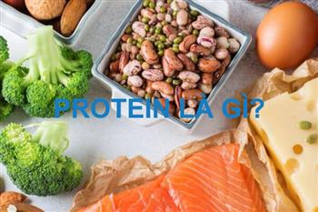Protein (chất đạm) là gì? Vì sao cơ thể cần chất đạm